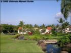 The Palms at Wailea
      <a href="http://www.garybland.com">http://www.garybland.com</a>
      
      <a href=" http://www.realestatemaui.us">Visit my Maui Real Estate weblog.</a>