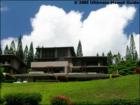 Ar119413828449146_l