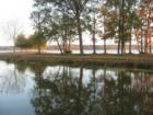 Later in the day. Lake Livingston is lovely.