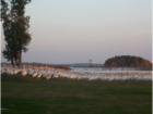 Migrating Pelicans on the shore at sunset.