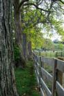 2138 Menelaus Road Berea,KY 
      8.077 farm for sale. More info on www.lizette.us 