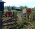 2138 Menelaus Road Berea,KY 
      8.077 farm for sale. More info on www.lizette.us 