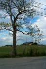 2138 Menelaus Road Berea,KY 
      8.077 farm for sale. More info on www.lizette.us 