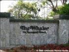 The Whaler,  Kaanapali, Maui Hawaii
      <a href="http://www.garybland.com">http://www.garybland.com</a>
      
      <a href=" http://www.realestatemaui.us">Visit my Maui Real Estate weblog.</a>