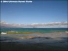 Little Beach, Makena, Maui Hawaii
      <a href="http://www.garybland.com">http://www.garybland.com</a>
      
      <a href=" http://www.realestatemaui.us">Visit my Maui Real Estate weblog.</a>