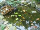 And a nice fish pond in Farmingdale NY