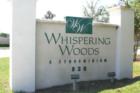 Whispering Woods