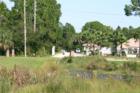 Across from Whispering Woods