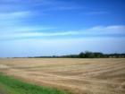 Freshly Harvested Cornfields By Eldridge, Iowa