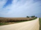 Ready for the Fall Harvest!
