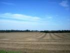 This is why Iowa is considered a plains state!