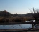 Looking out over the wetlands at Route 93 from Woburn St.
