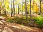 Kentwood Jaycee Park, Kentwood Michigan