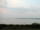 Can you find the heron in the bay? 