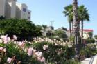 Tides Beach Club