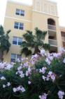 Tides Beach Club