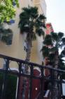 Tides Beach Club
