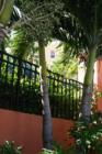 Tides Beach Club