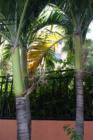 Tides Beach Club