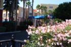 Tides Beach Club