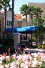 Tides Beach Club