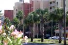 Tides Beach Club