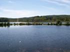 Jennings Pond in Danby