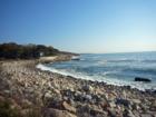 Magnolia Coast