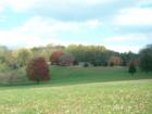 Edgmont Country Club Fall Photo