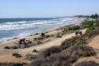The beach bluffs, near Tamarack surf beach