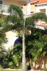 Redington Shores