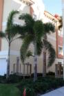 Redington Shores
