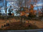 Cemetary accross the street from the First Church of Christ Scientist and Reading Town Hall