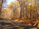 Lovely autumn colors on Carter Street in Manchester, heading up Birch Mountain towards Bolton