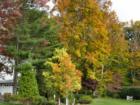 Pascack Valley Fall Splendor