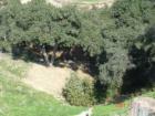 Vellano Country Club, a private country club community in Chino Hills, California, featuring a Greg Norman signature golf course.
      