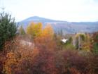 Autumn in Hood River