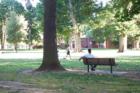 McKinley Park
