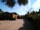 Beautiful copper roof and garage doors on a No. Central Phoenix home. 