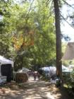 Vendor Venue at Flat Rock Music Festival 