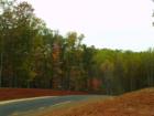 Virginia Red Mud