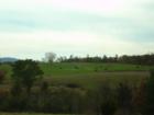 Field View