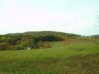 do you see the home?