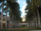 Courtyard at Merrick Park