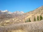 City of Alpine, backed by National Forest