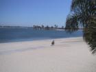 Mission bay looking south