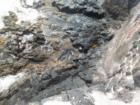 Ar119464551319474_l