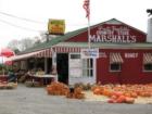 Marshalls Farm stand, Route 46, near Manunka Chunk, NJ