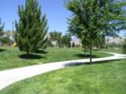 Summerlin is home to more than 100 parks that range in size from less than one acre to nearly 70 acres, most of which are designed around a specific recreational theme such as soccer, baseball, tennis or trails. 
      
      