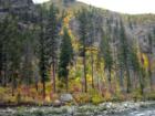 Fall in the Tumwater Canyon, between Leavenworth and Lake Wenatchee